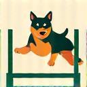 Icône agility et sport canin